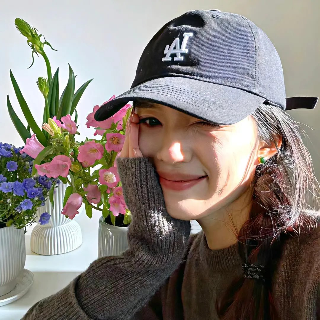 新蝶恋花 海报