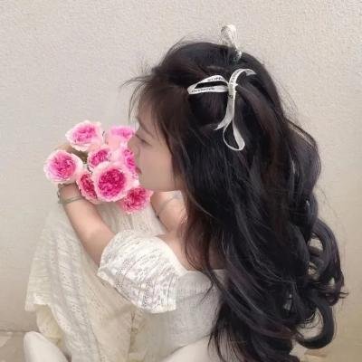 奥尔高索洛的强盗 海报