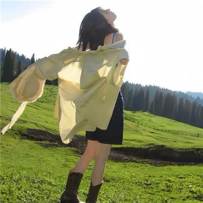 大象菩提 海报